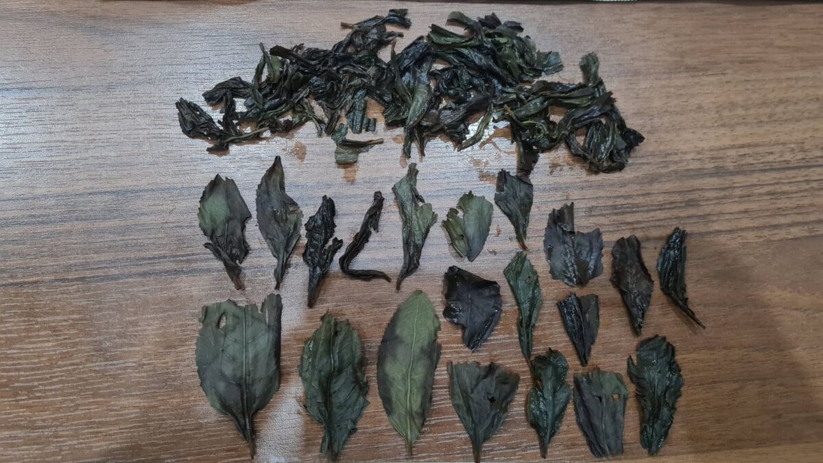 Oolong od Wojtka TheTea.pl Zbiorowe podsumowanie cz2 – zdjęcie 5